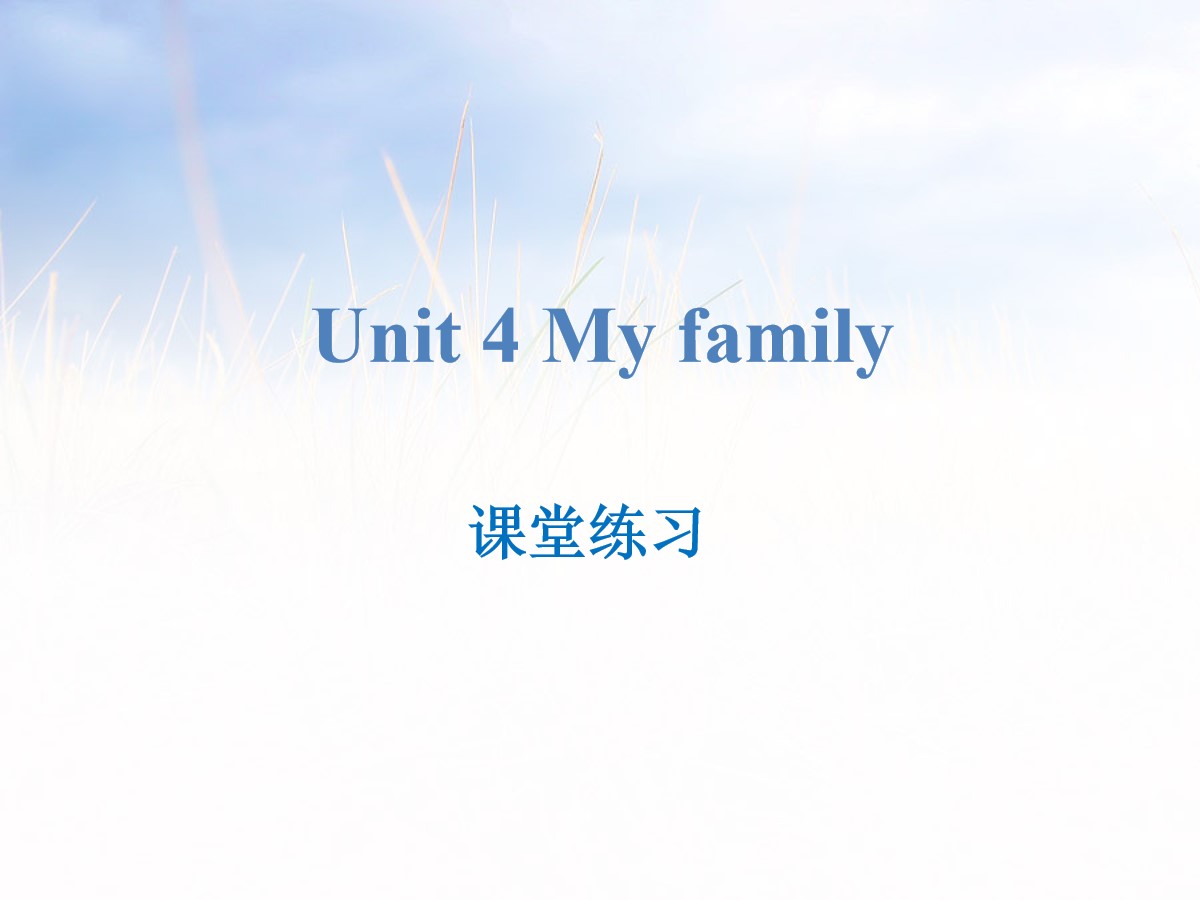 《My family》课堂练习PPT