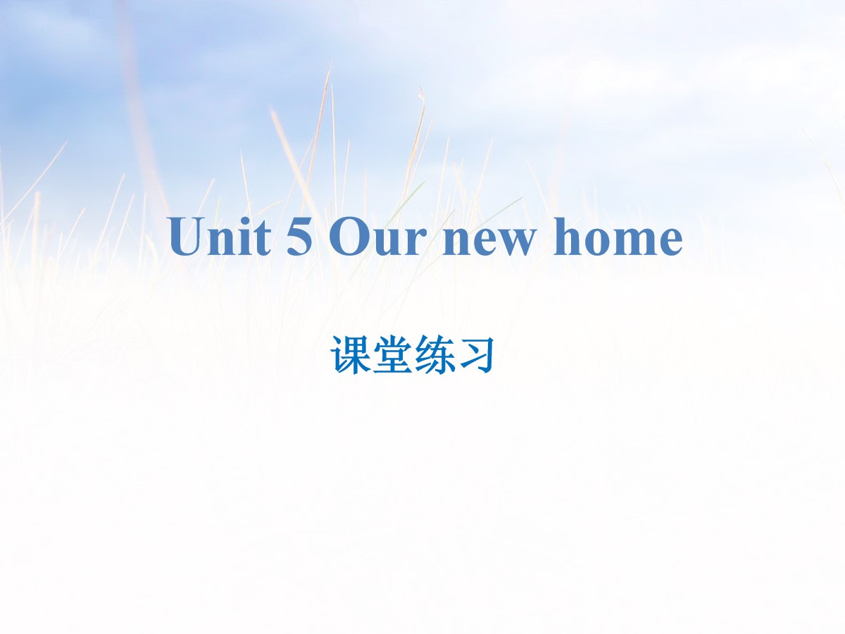 《Our new home》课堂练习PPT