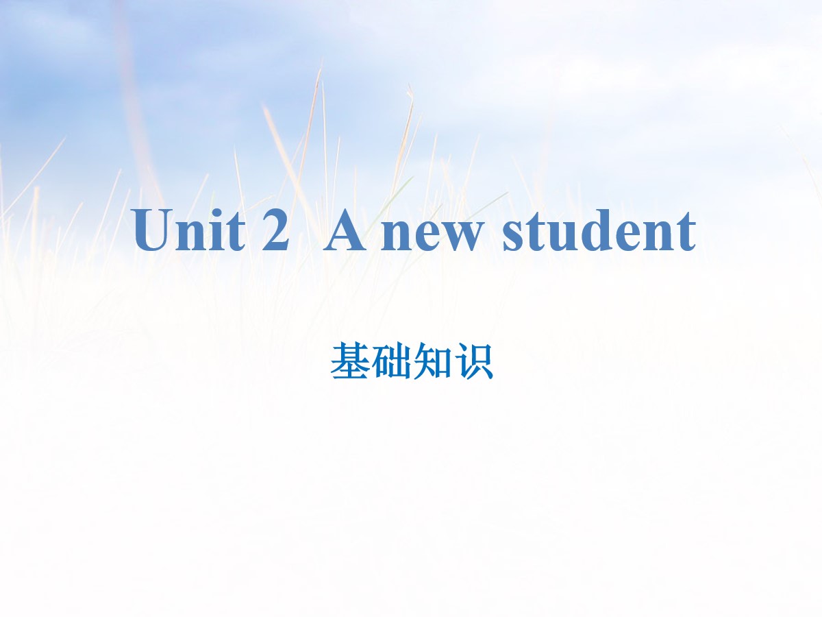 《A new student》基础知识PPT