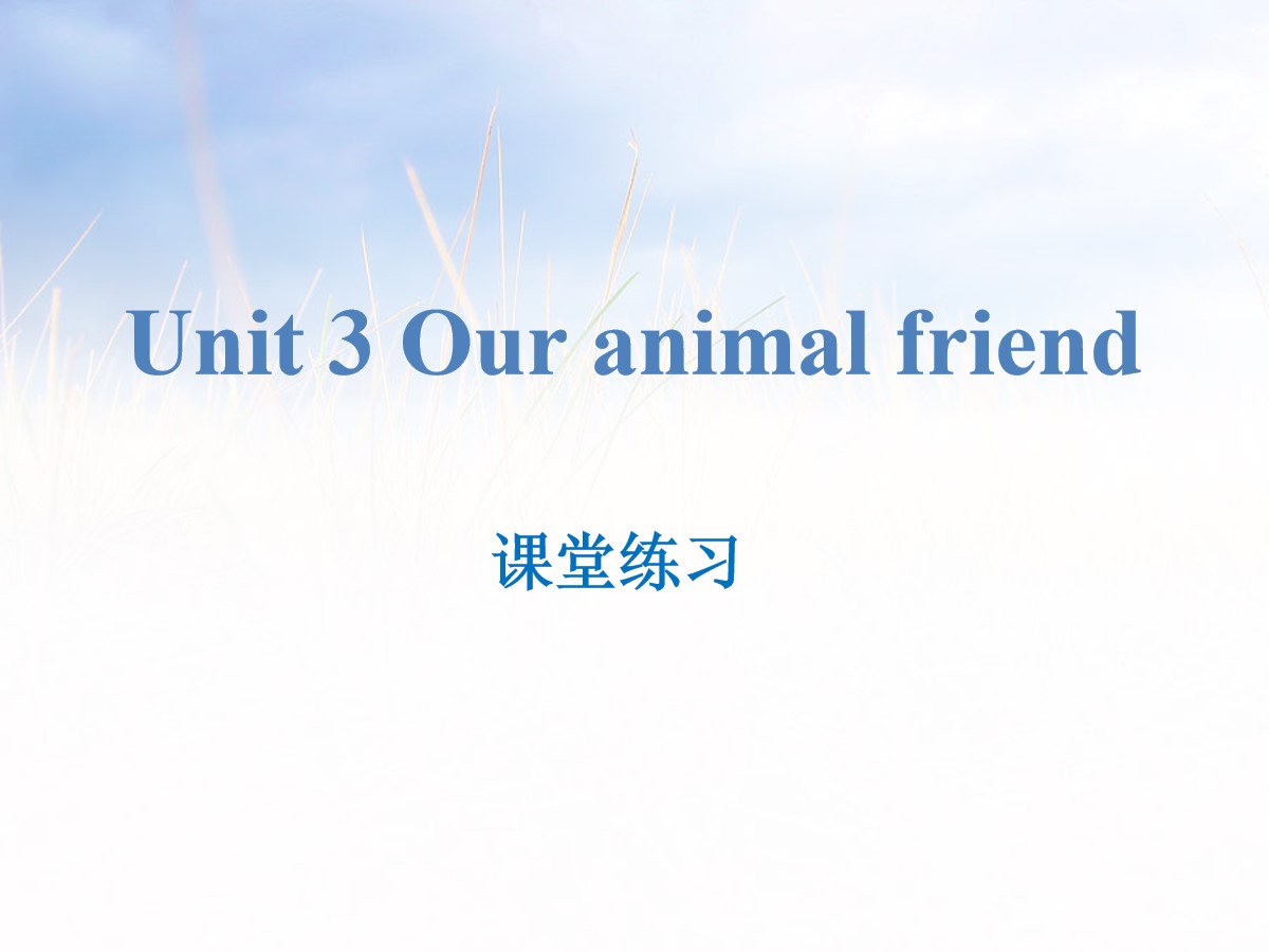 《Our animal friends》课堂练习PPT