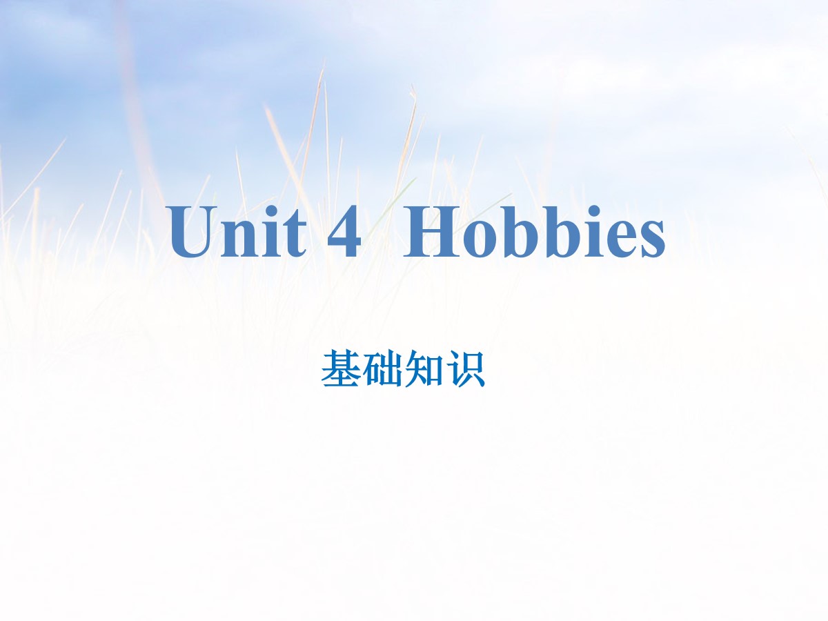 《Hobbies》基础知识PPT