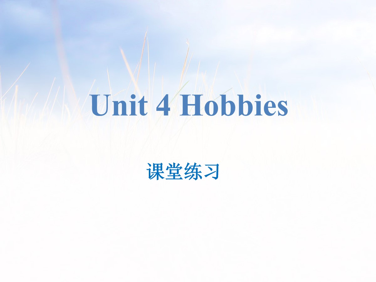 《Hobbies》课堂练习PPT