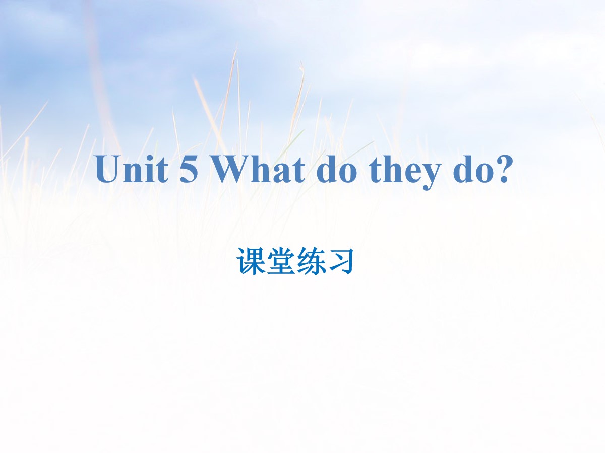 《What do they do?》课堂练习PPT