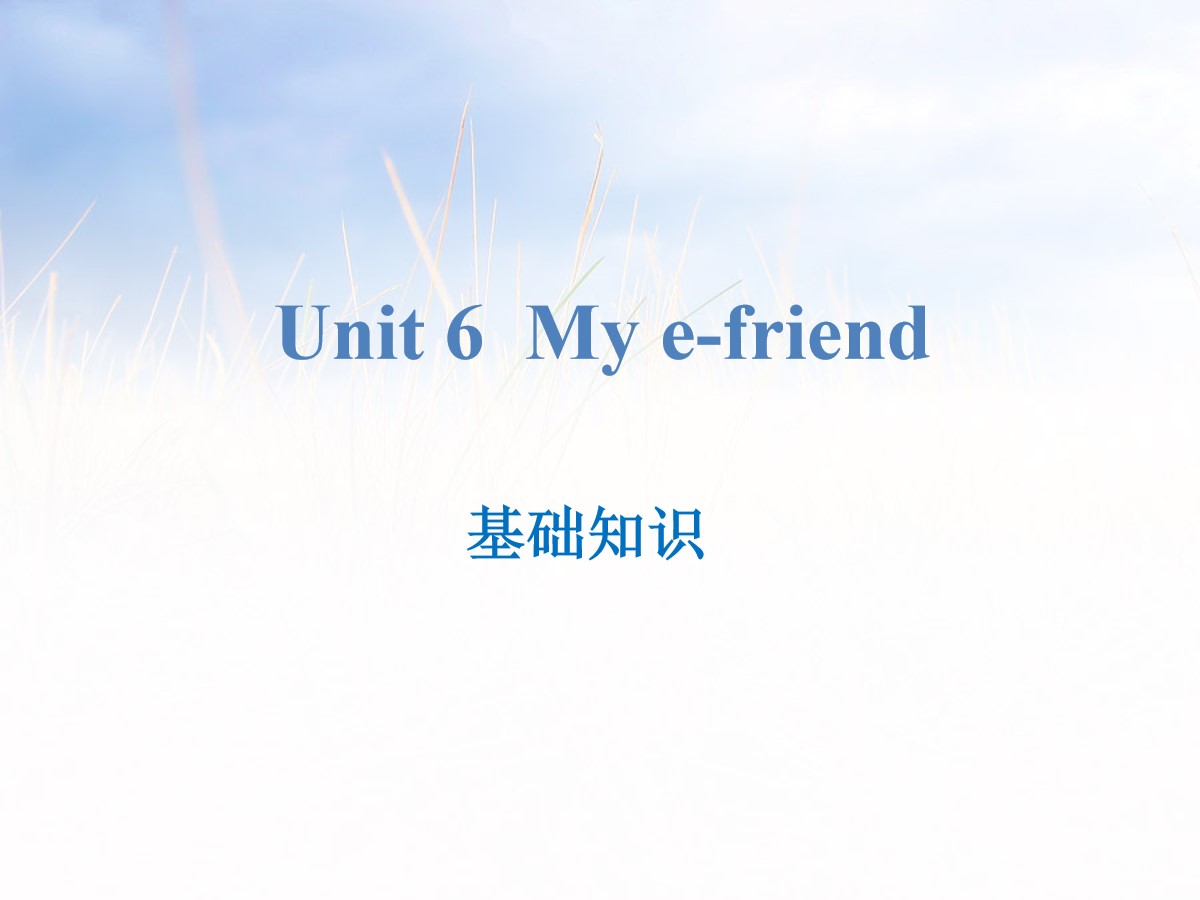 《My e-friend》基础知识PPT