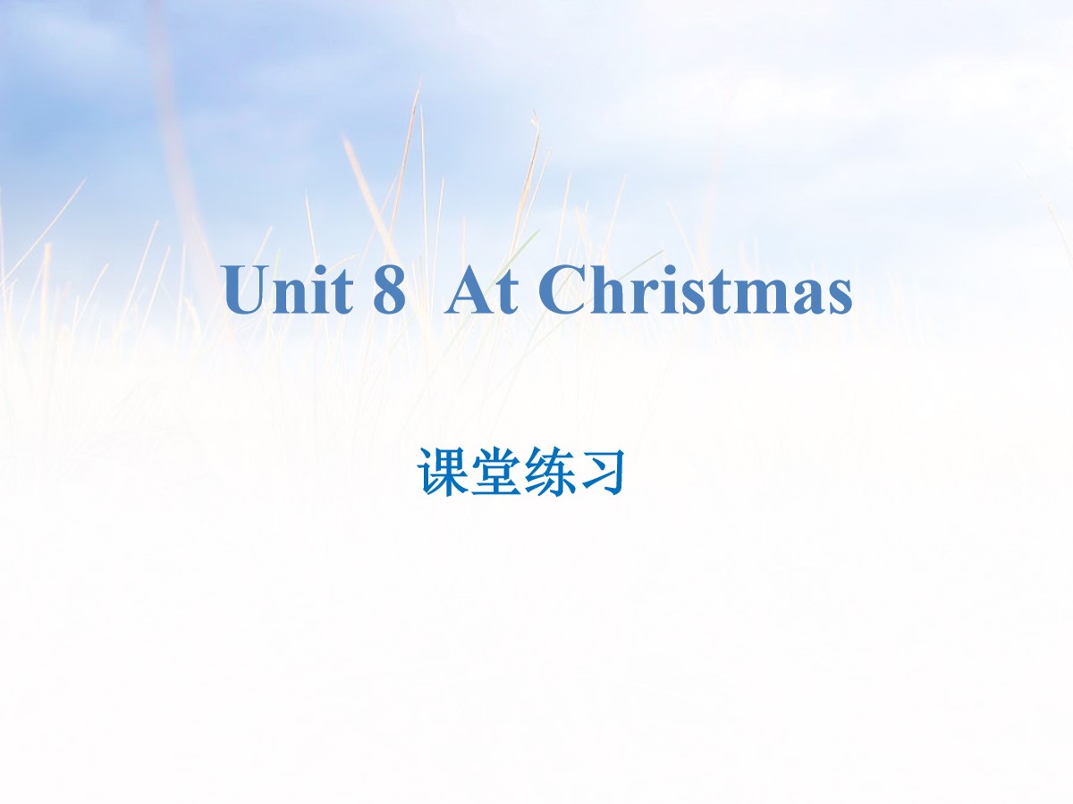 《At Christmas》课堂练习PPT