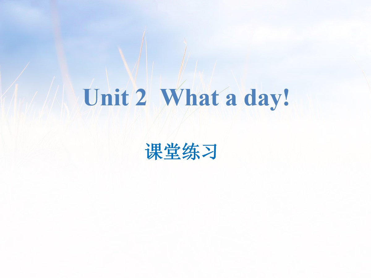 《What a day!》课堂练习PPT