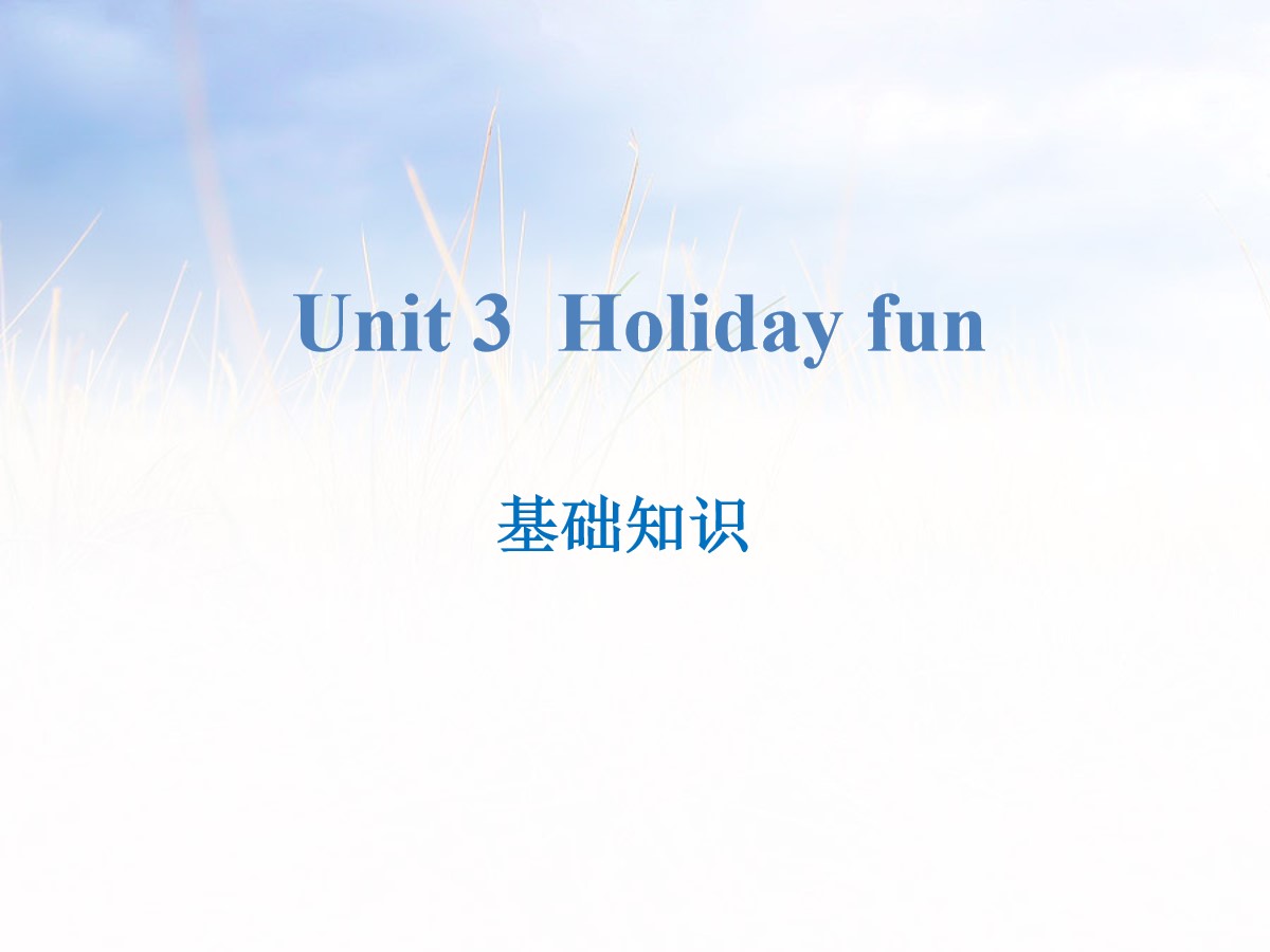 《Holiday fun》基础知识PPT