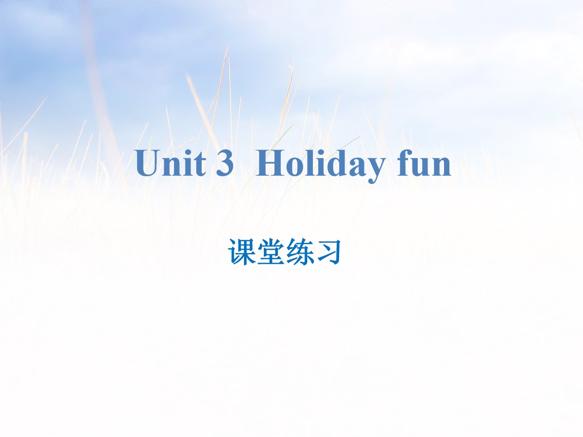 《Holiday fun》课堂练习PPT