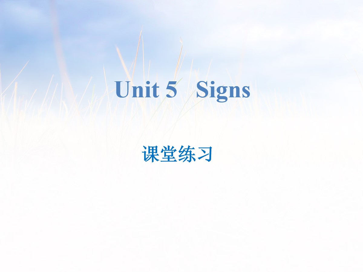 《Signs》课堂练习PPT