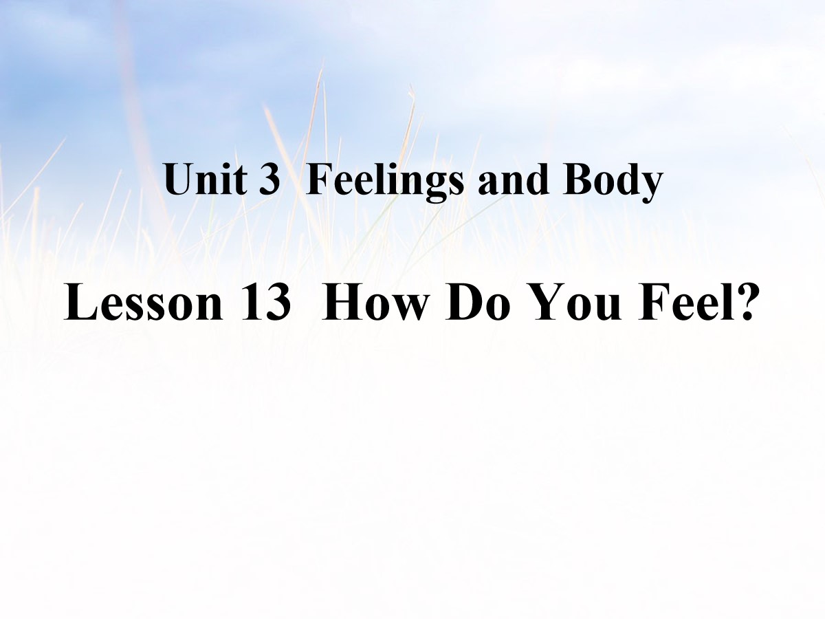 《How Do You Feel?》Feelings and Body PPT教学课件