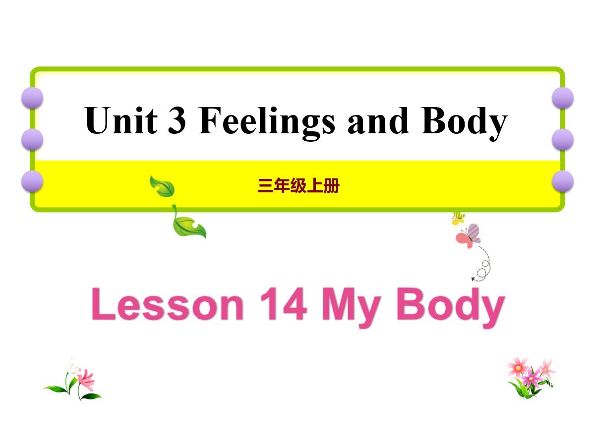 《My Body》Feelings and Body PPT课件