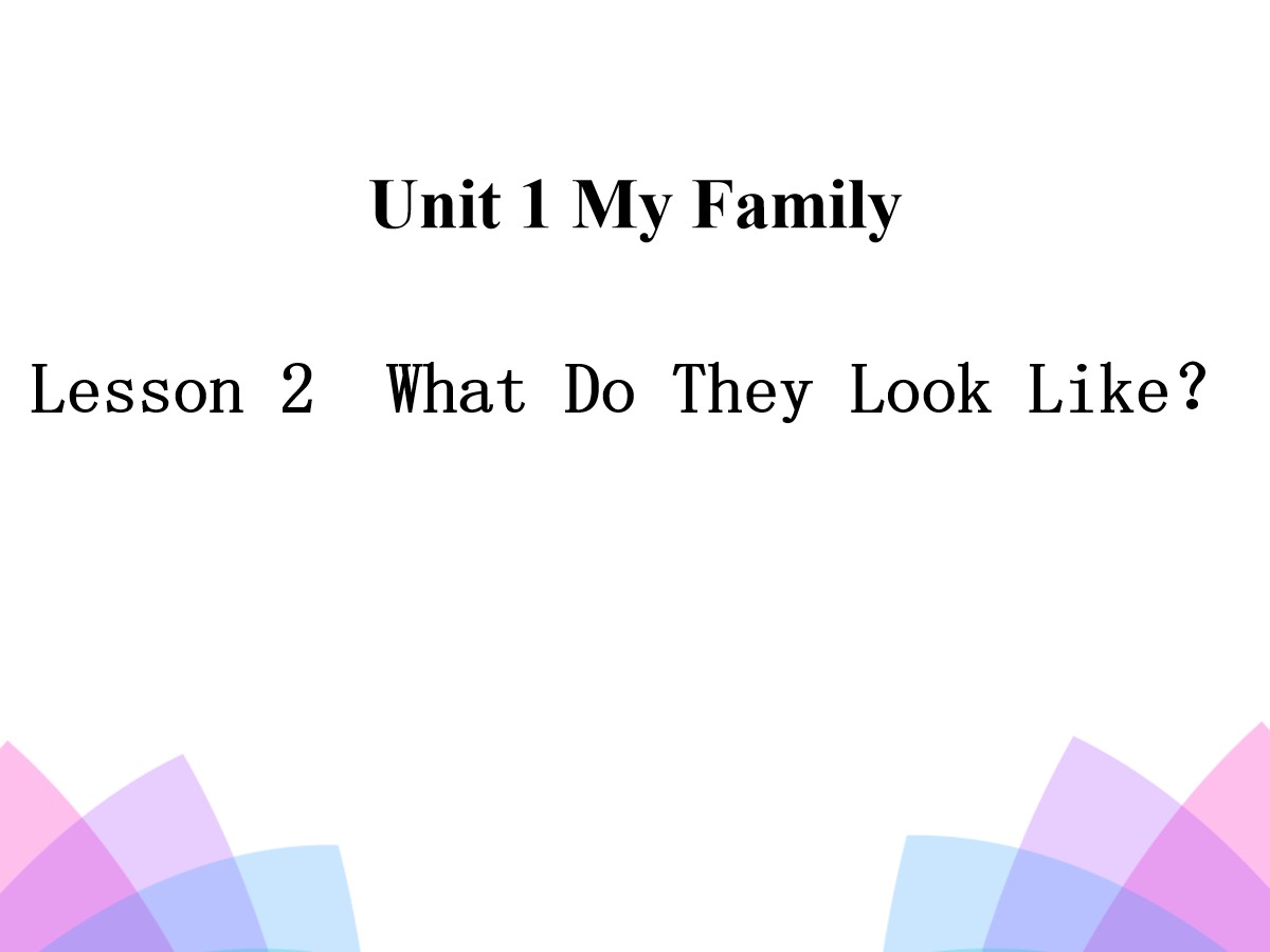 《What Do They Look Like?》My Family PPT