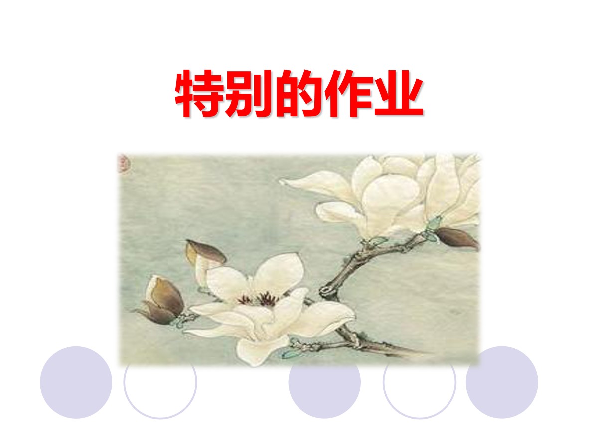 《特别的作业》PPT