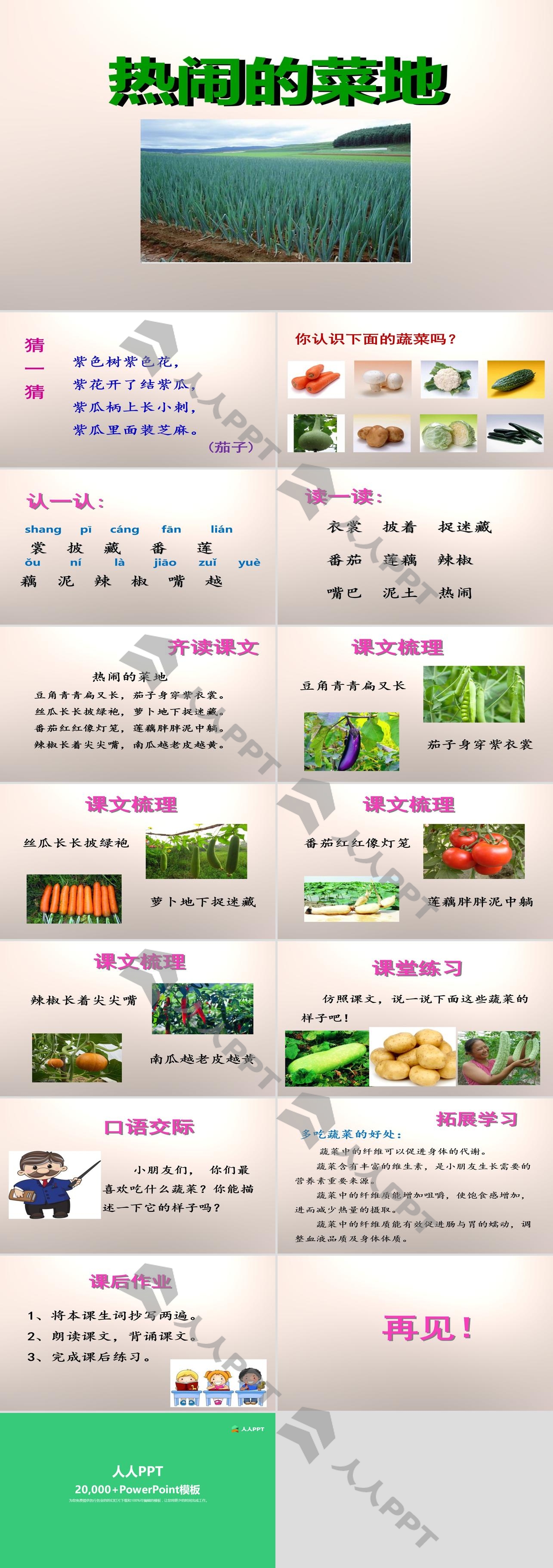 《热闹的菜地》PPT长图