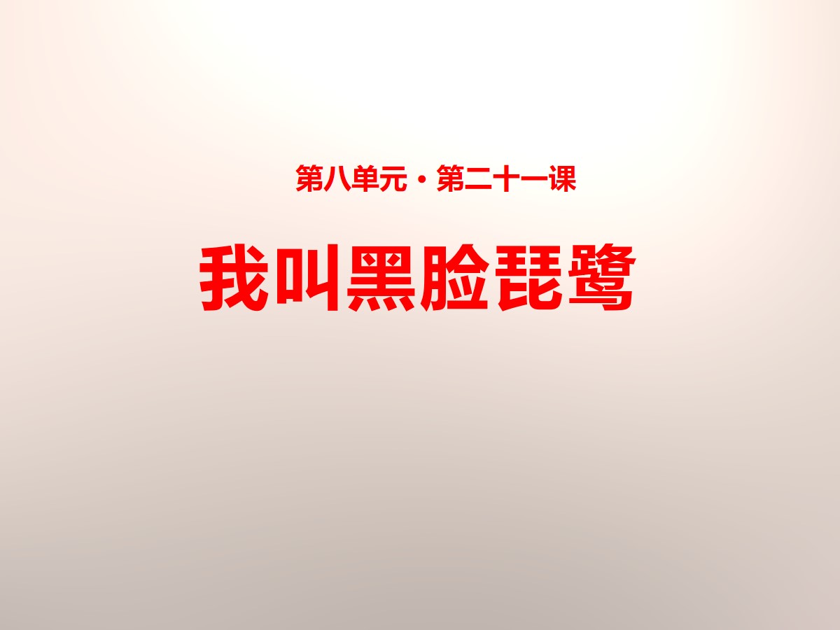 《我叫黑脸琵鹭》PPT