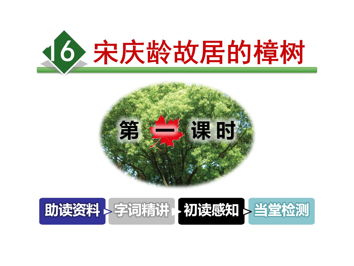 《宋庆龄故居的樟树》PPT教学课件