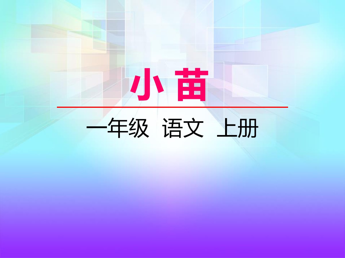 《小苗》PPT