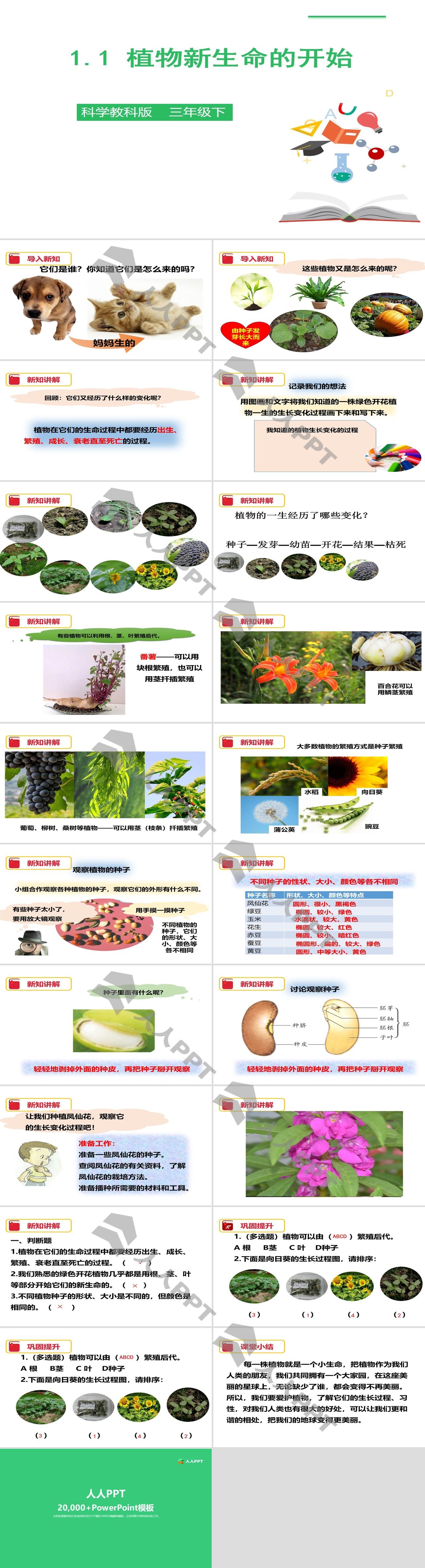 《植物新生命的开始》植物的生长变化PPT下载长图
