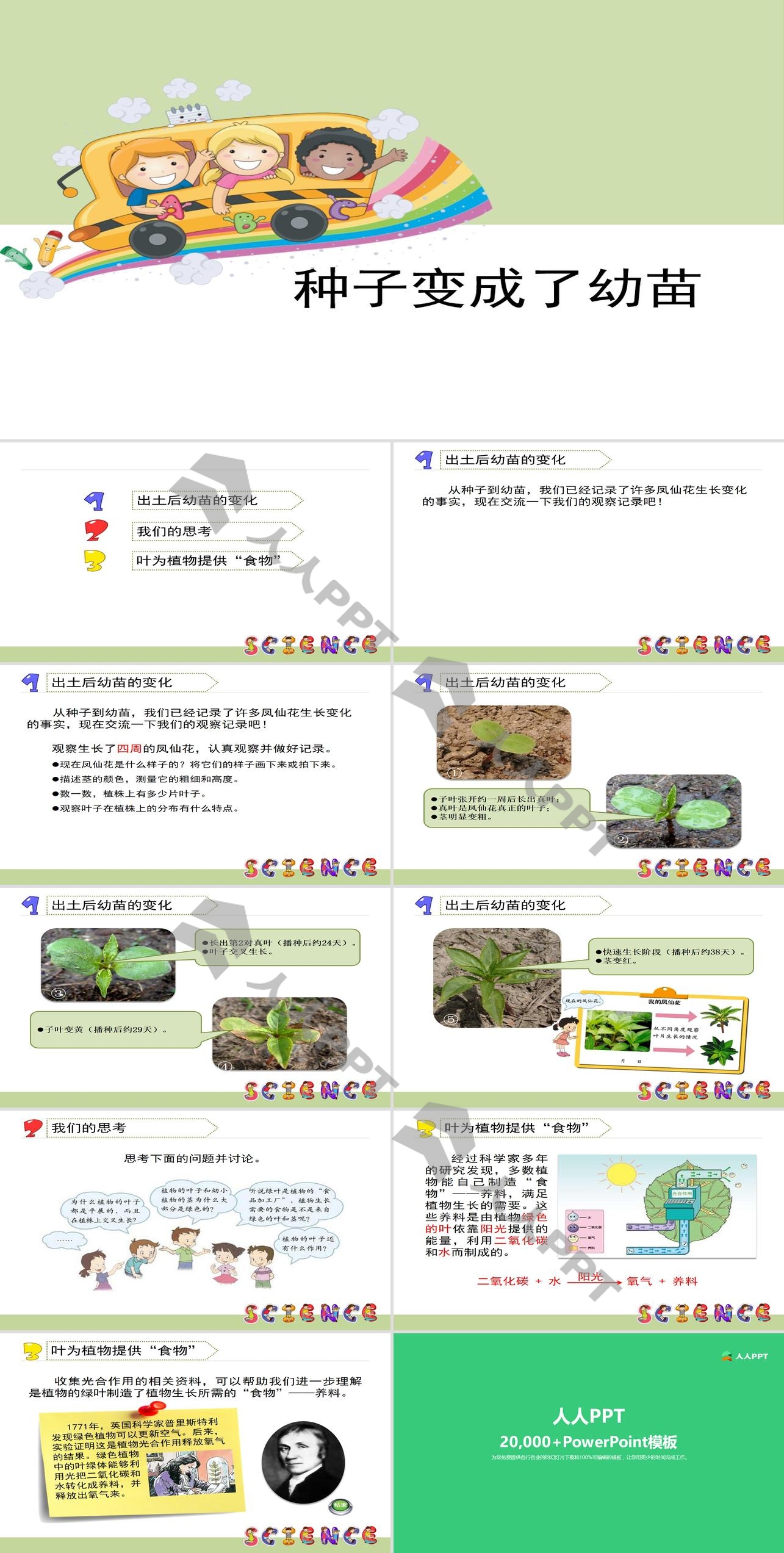 《种子变成了幼苗》植物的生长变化PPT长图