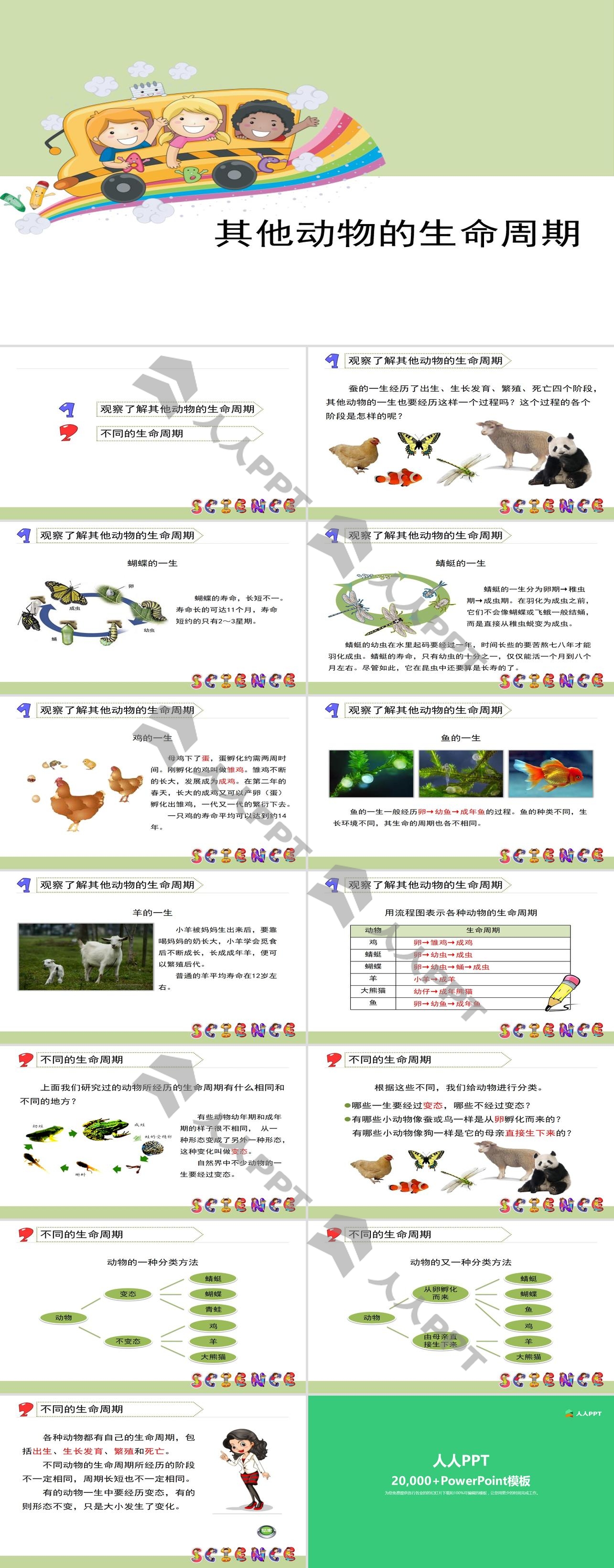 《其他动物的生命周期》动物的生命周期PPT长图