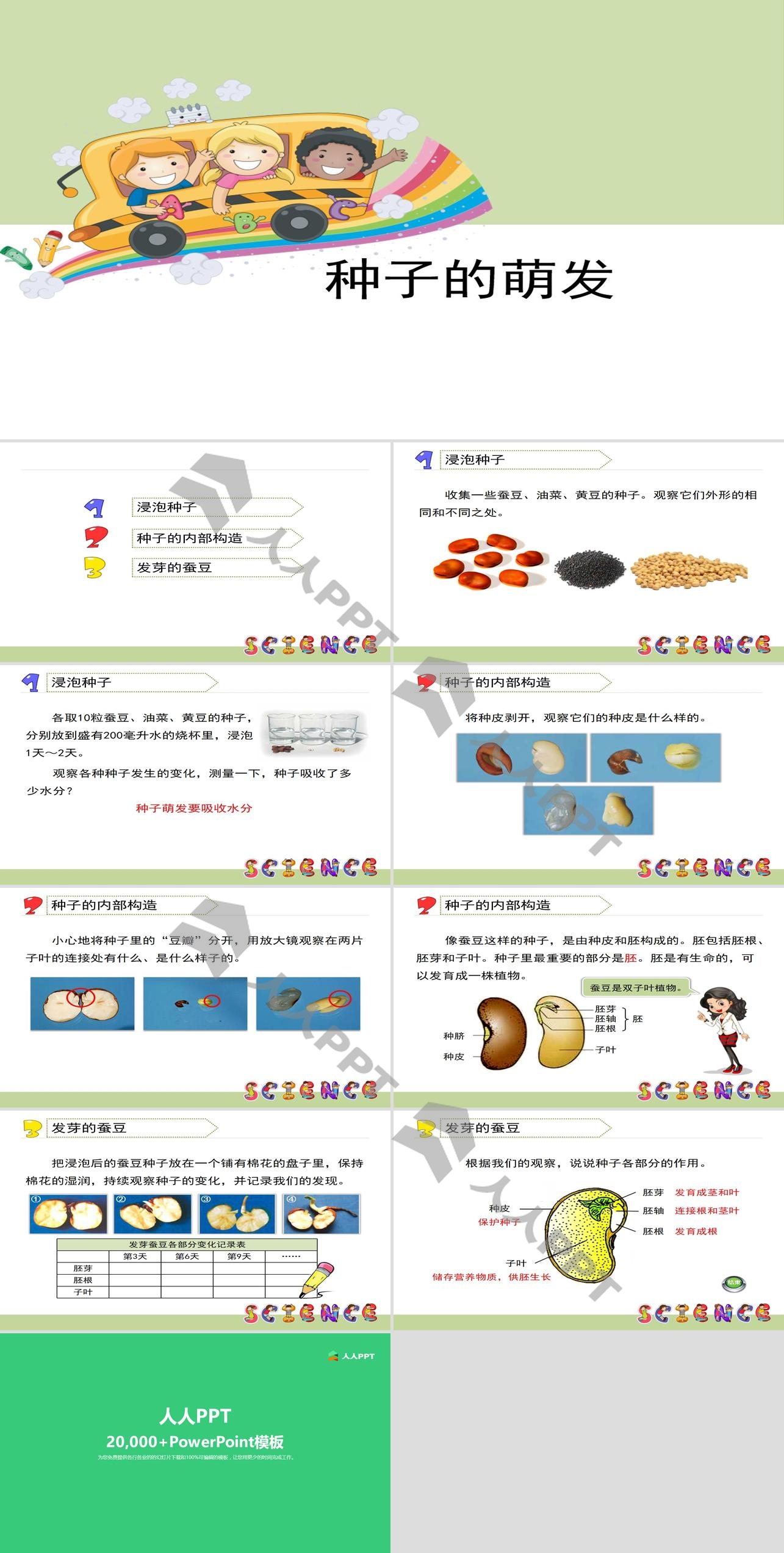 《种子的萌发》新的生命PPT长图