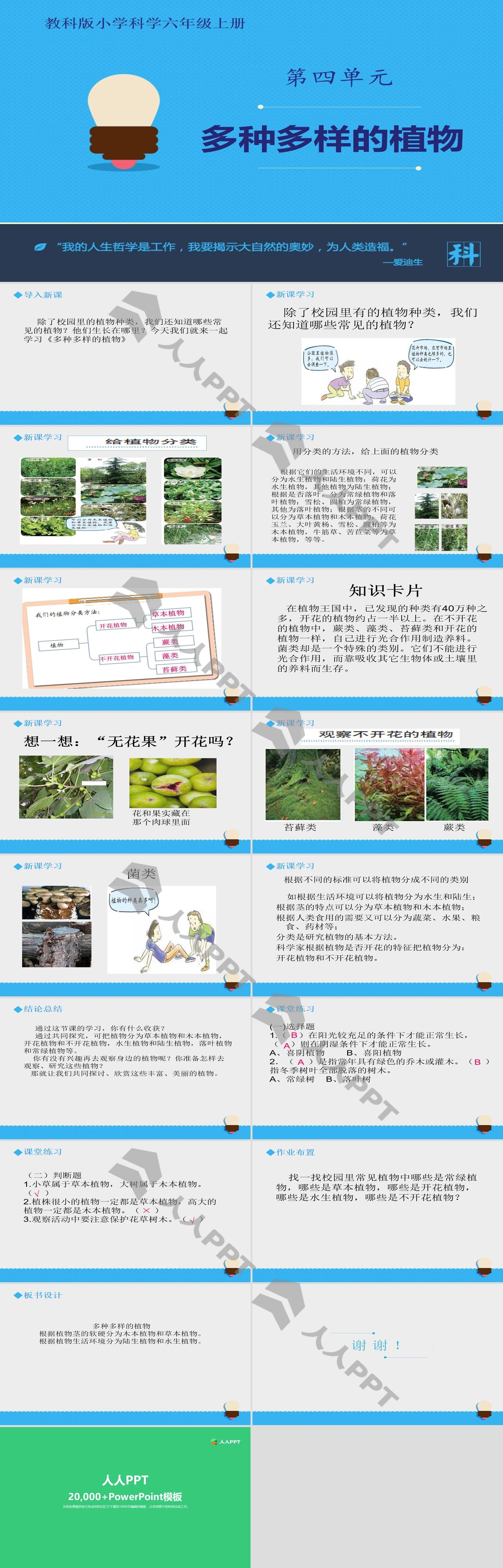 《多种多样的植物》生物的多样性PPT教学课件长图