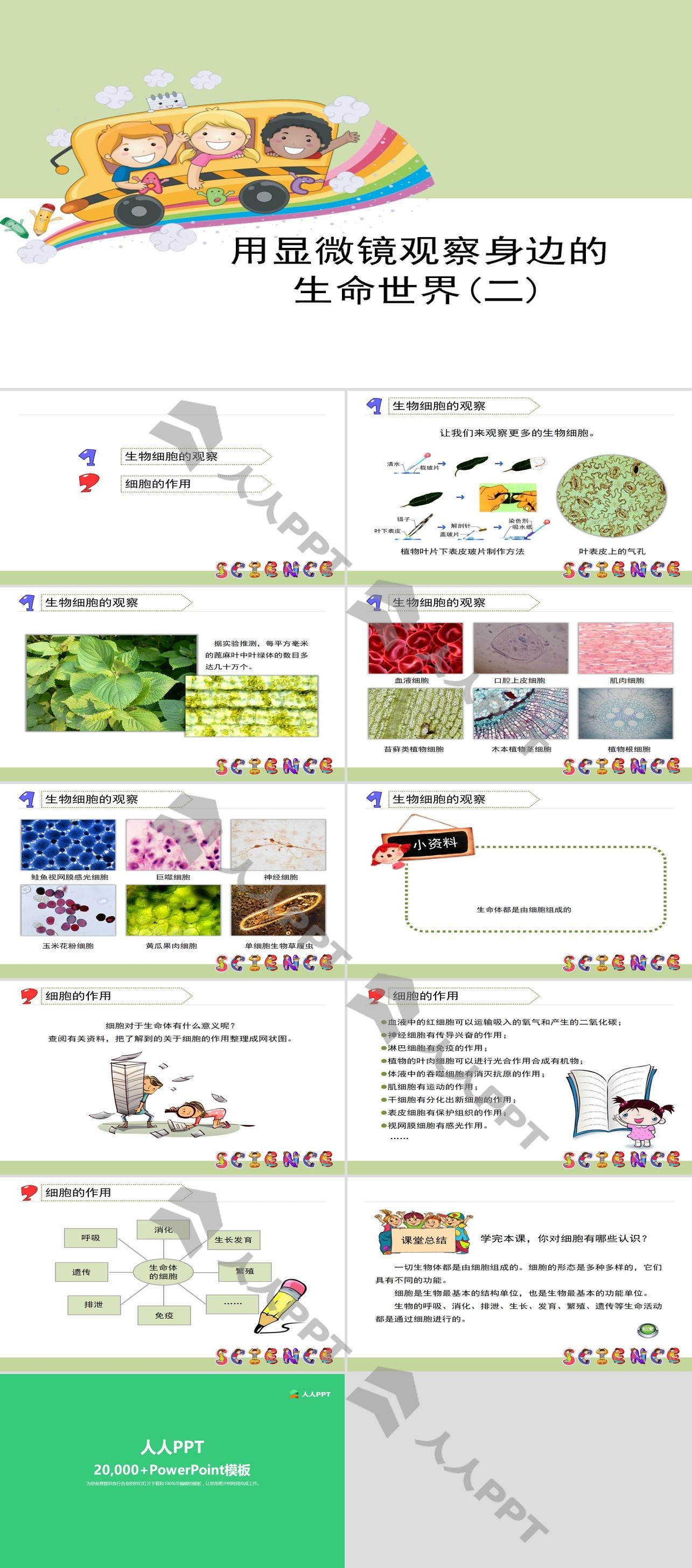 《用显微镜观察身边的生命世界(二)》微小世界PPT长图