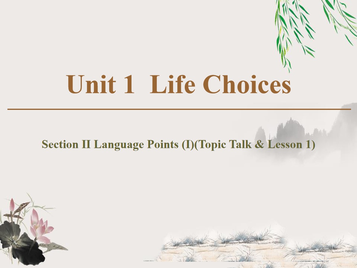 《Life Choices》Section ⅡPPT