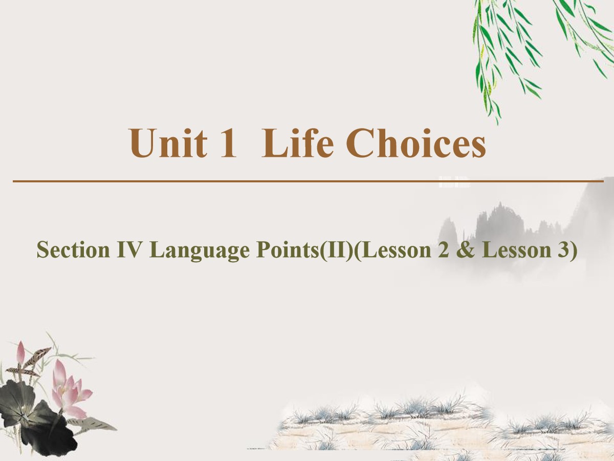 《Life Choices》Section ⅣPPT