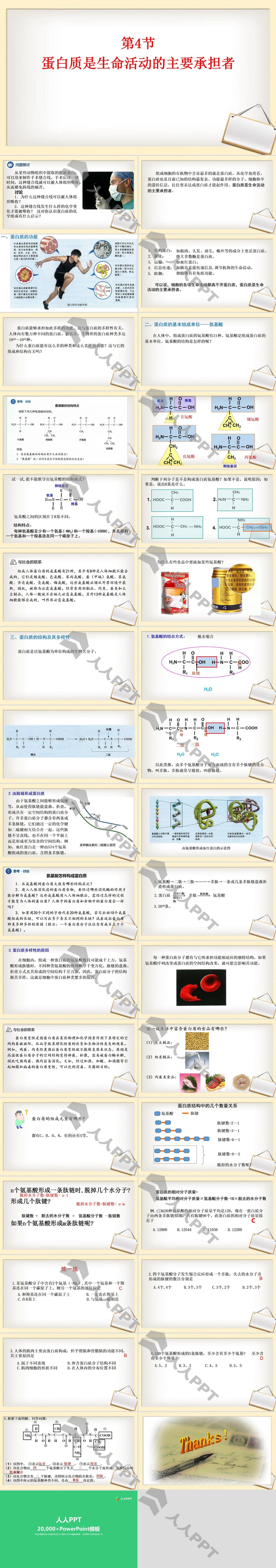 《蛋白质是生命活动的主要承担者》组成细胞的分子PPT长图