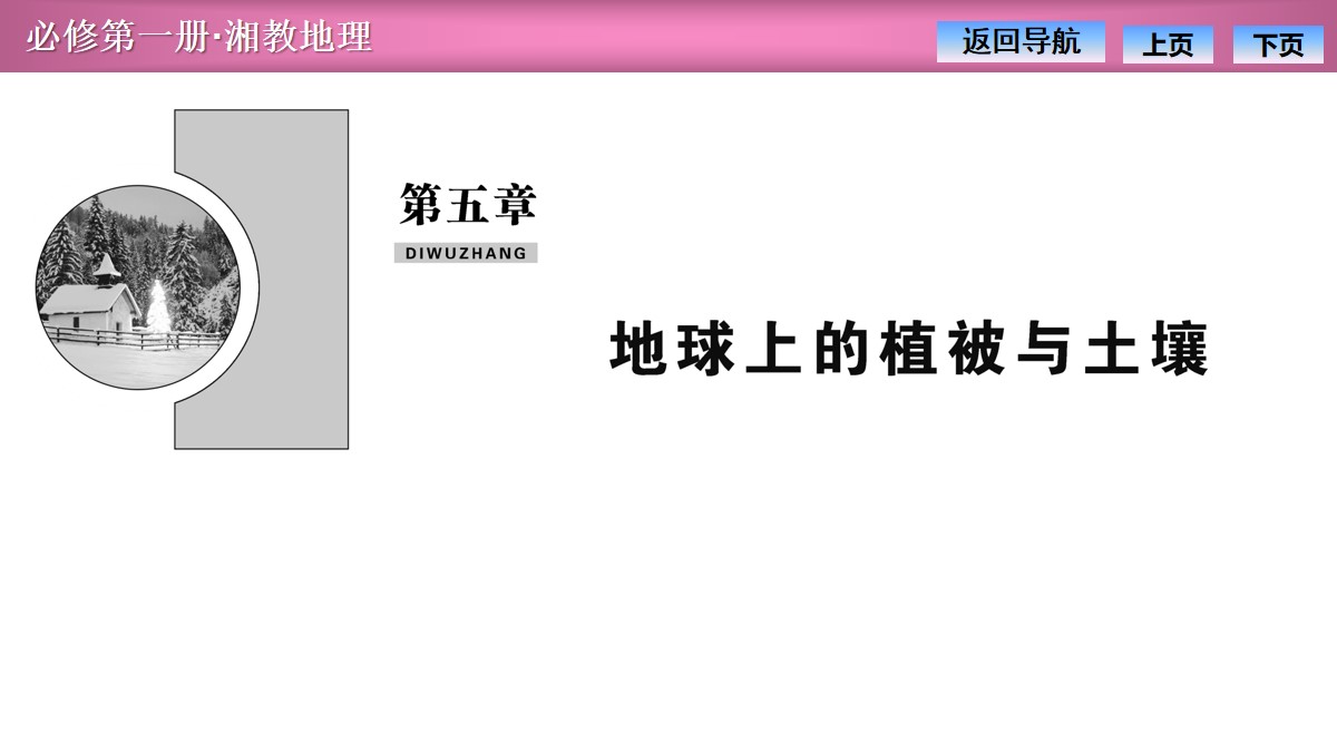 《主要植被与自然环境》地球上的植被与土壤PPT课件