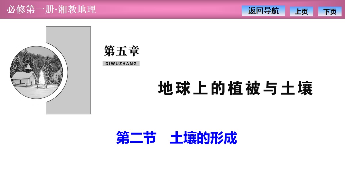 《土壤的形成》地球上的植被与土壤PPT课件