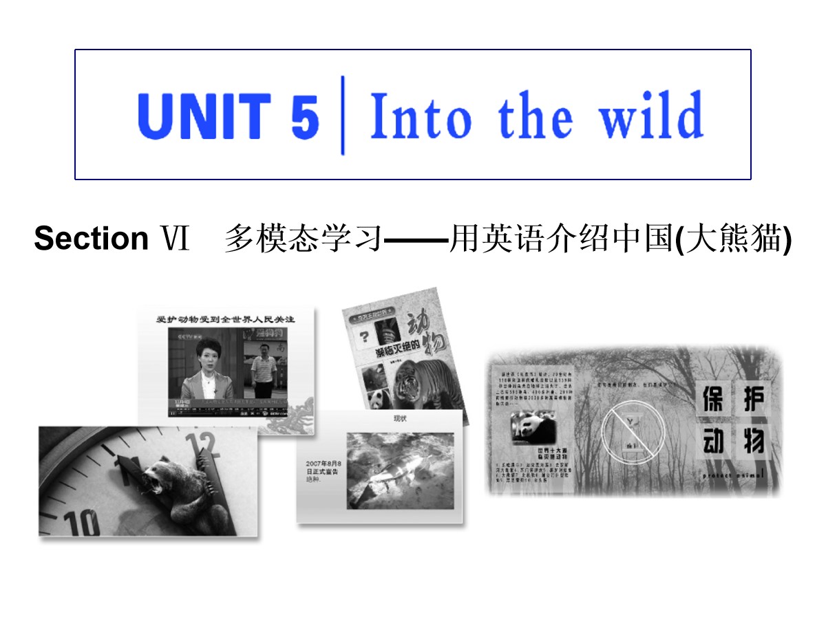 《Into the wild》Section Ⅵ PPT课件