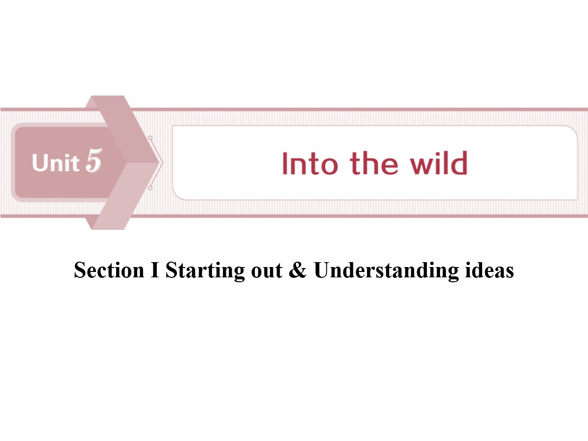 《Into the wild》Section ⅠPPT