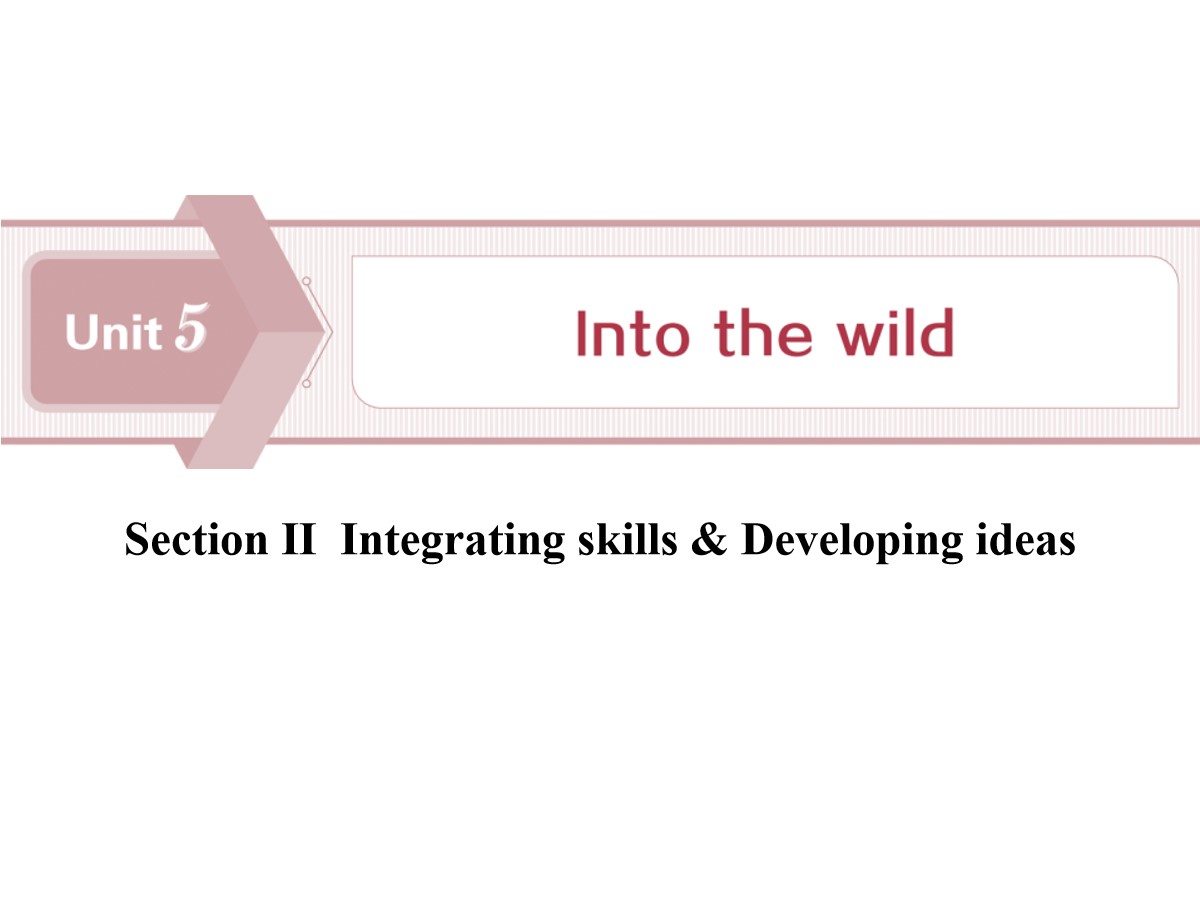 《Into the wild》Section ⅡPPT