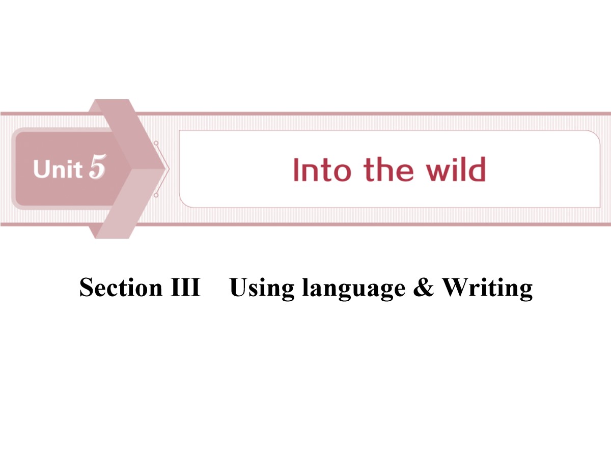 《Into the wild》Section ⅢPPT