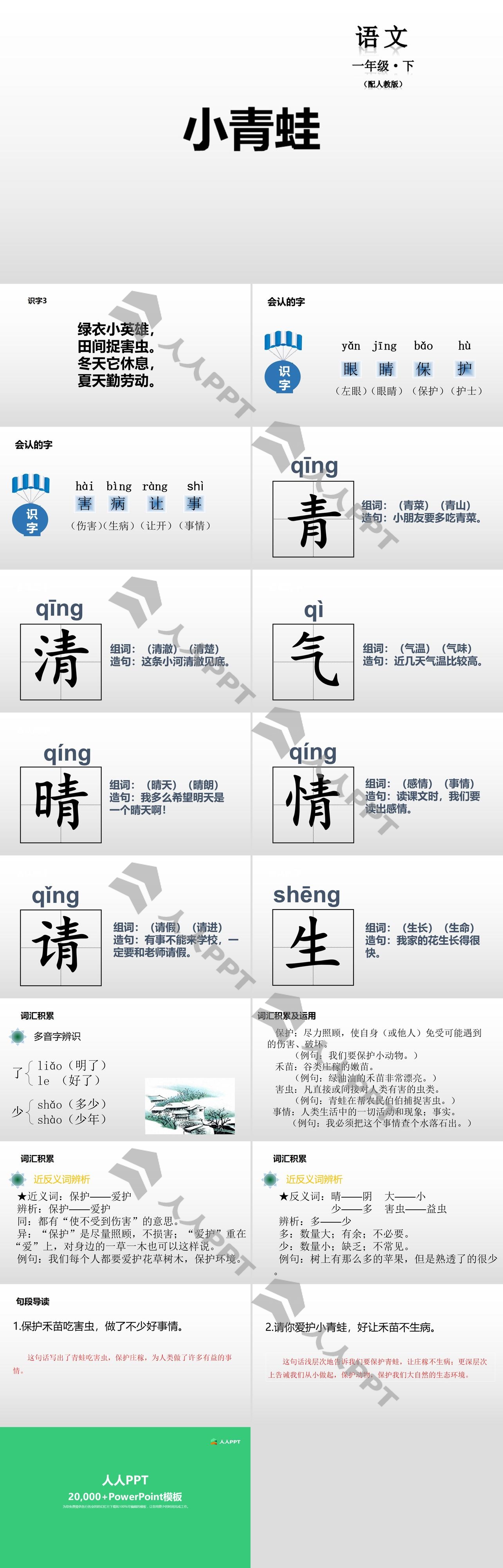 识字《小青蛙》PPT教学课件长图