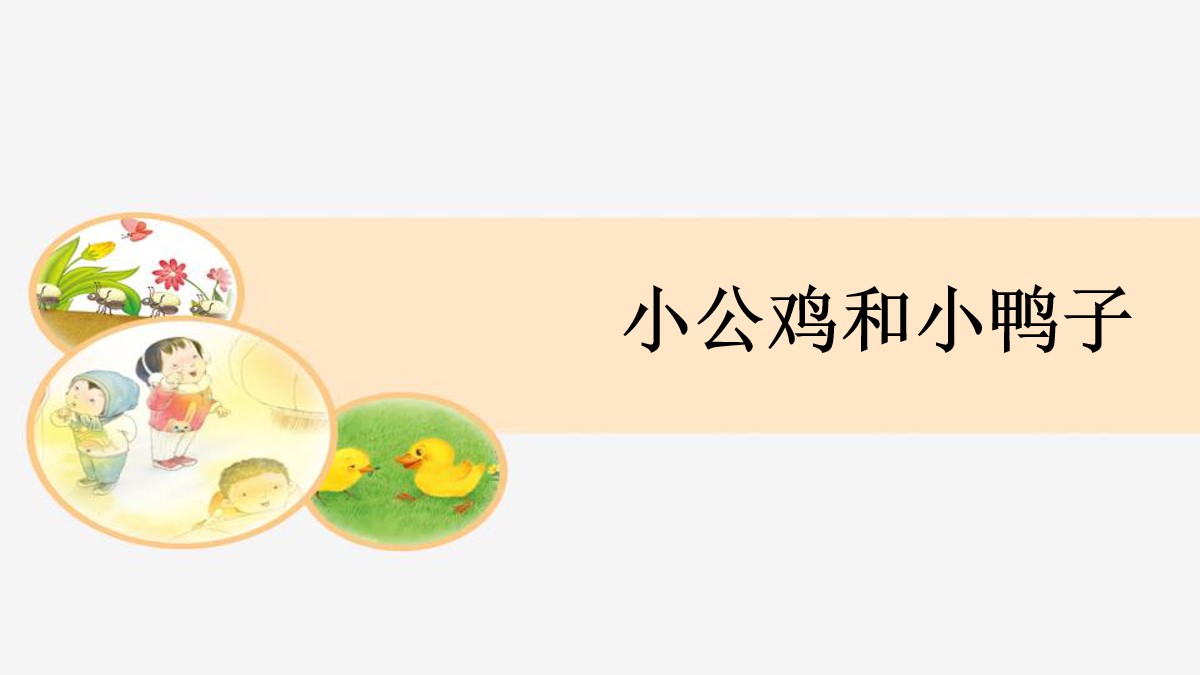 《小公鸡和小鸭子》PPT教学课件