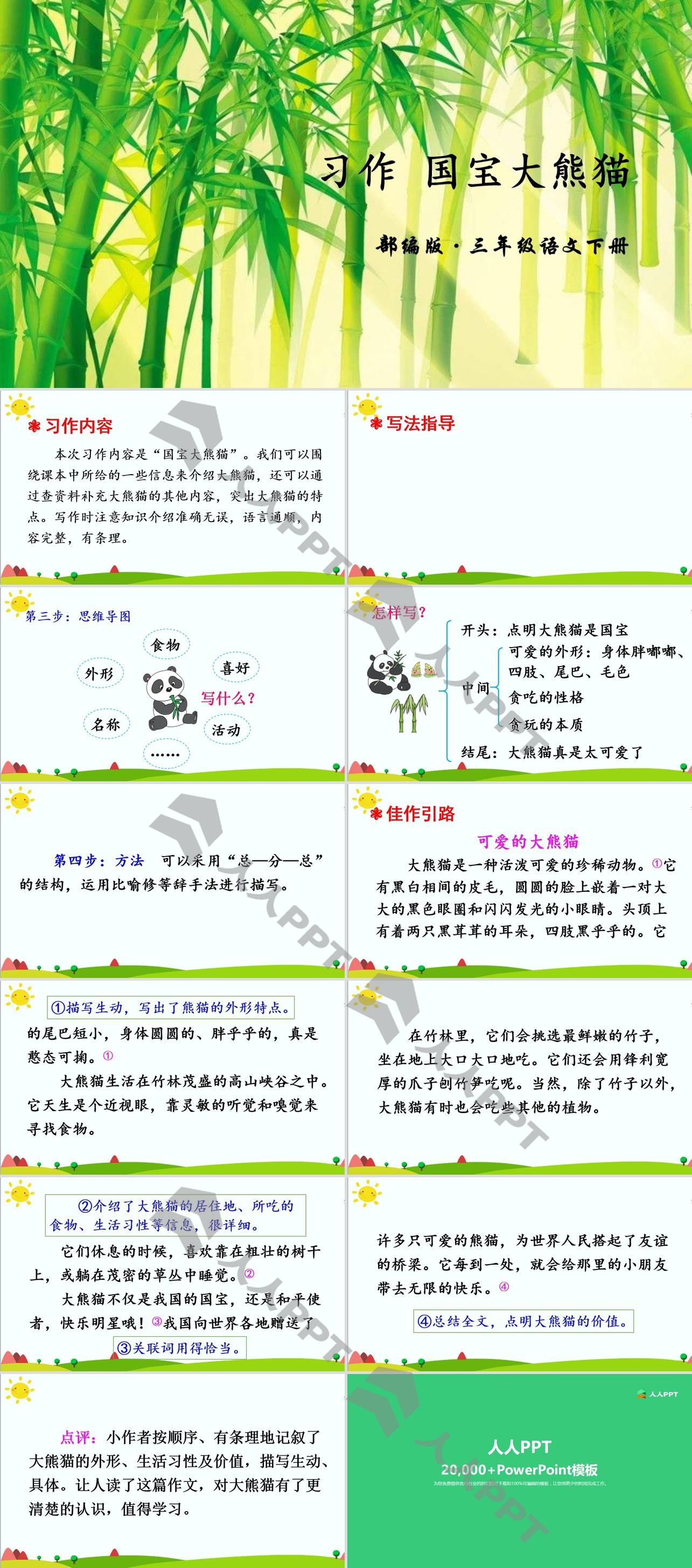 《国宝大熊猫》PPT课件长图