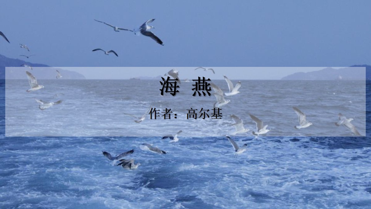 《海燕》PPT精品课件