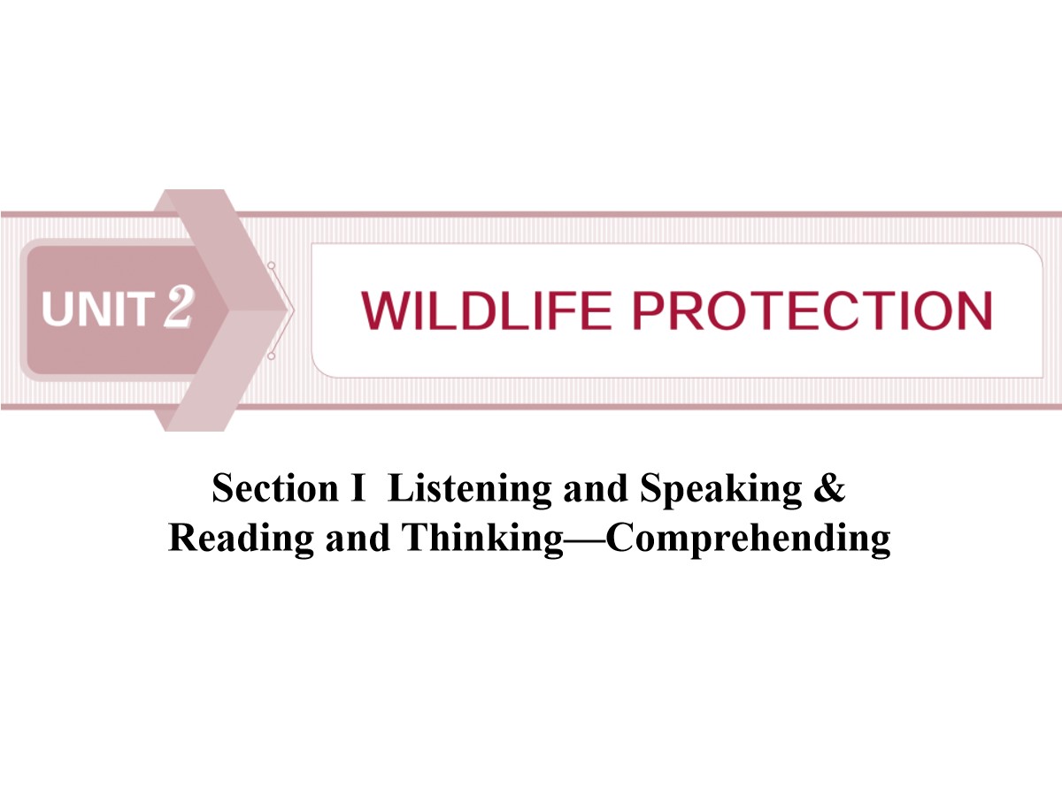 《Wildlife Protection》SectionⅠ PPT