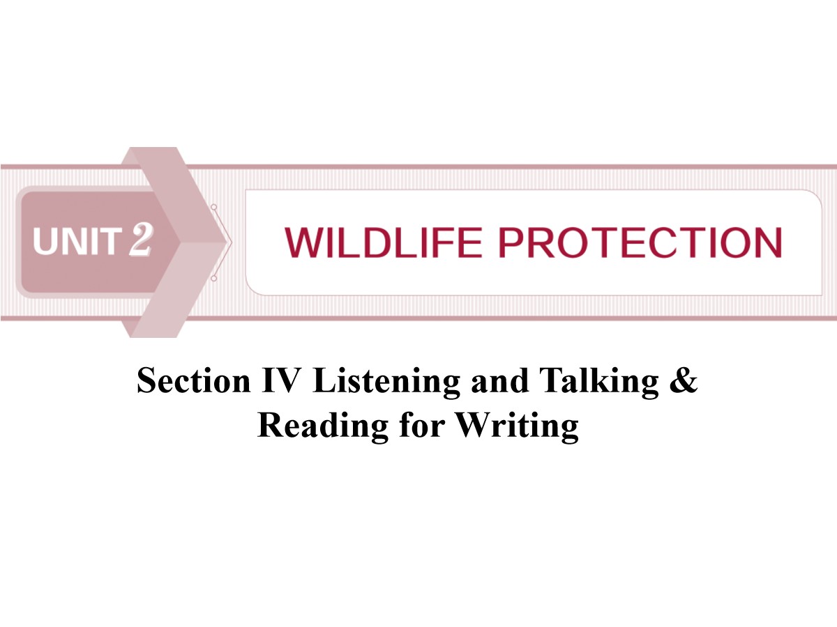《Wildlife Protection》SectionⅣ PPT