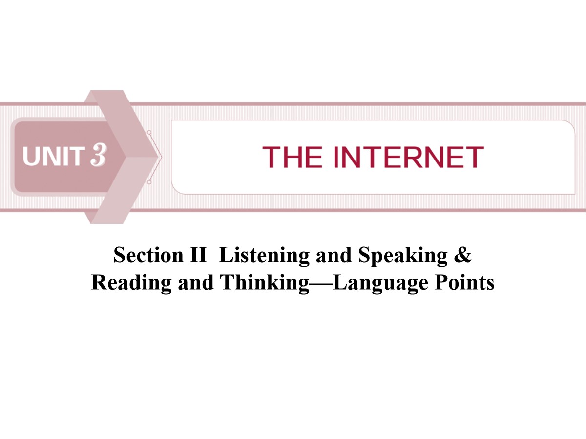 《The internet》SectionⅡ PPT