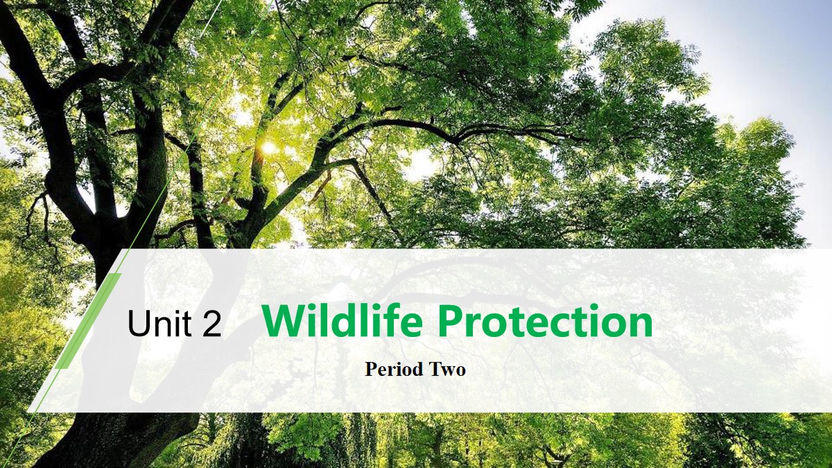 《Wildlife Protection》Period Two PPT