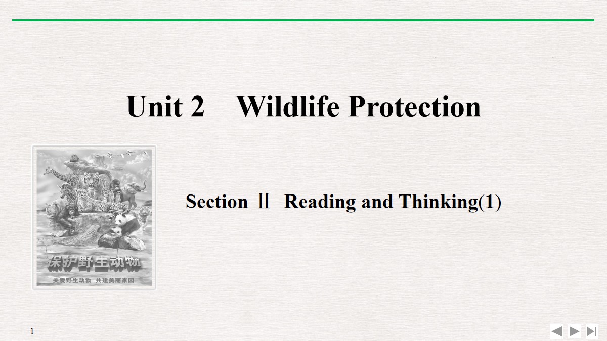 《Wildlife Protection》SectionⅡ PPT课件