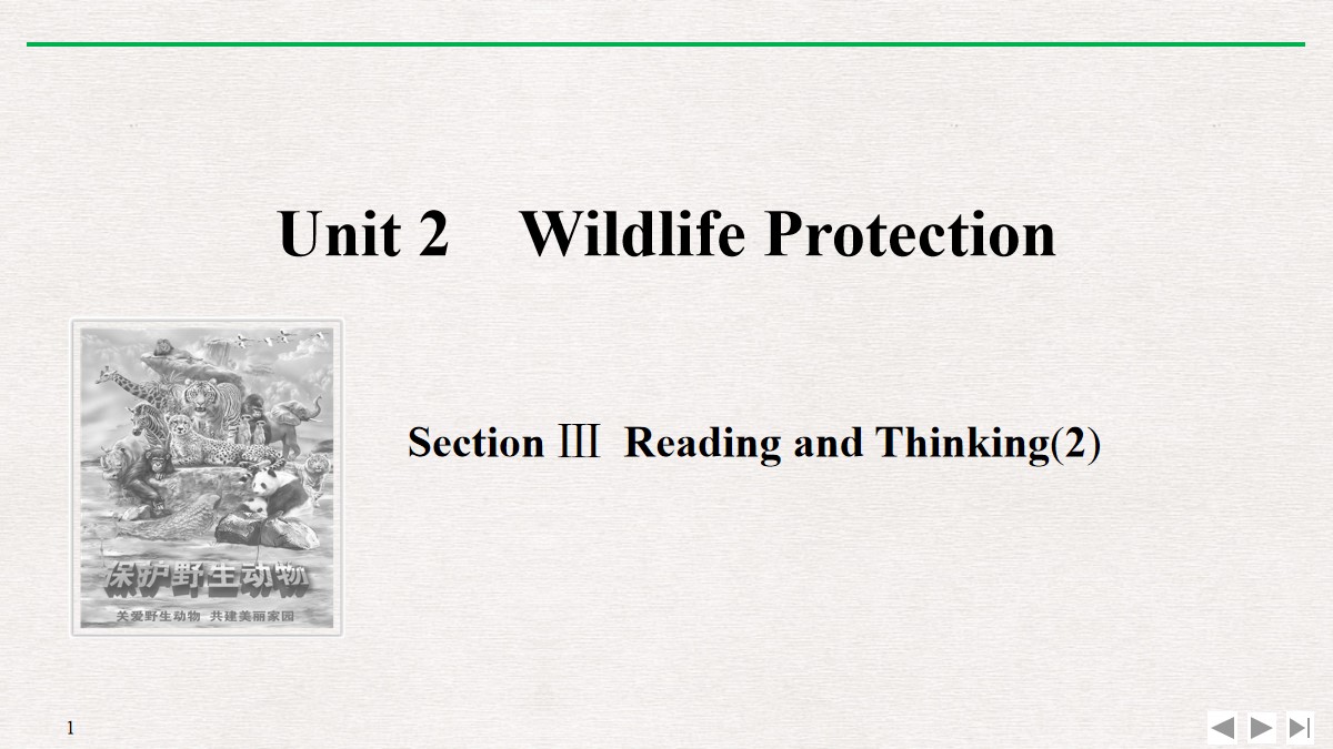 《Wildlife Protection》SectionⅢ PPT课件