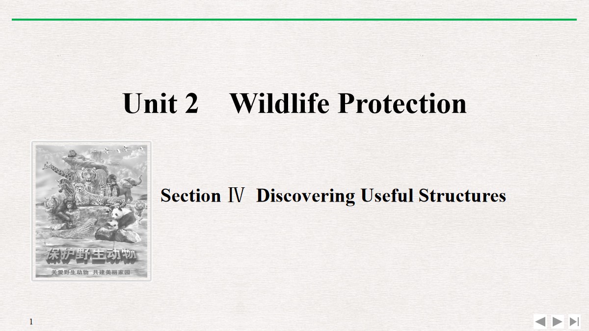 《Wildlife Protection》SectionⅣ PPT课件