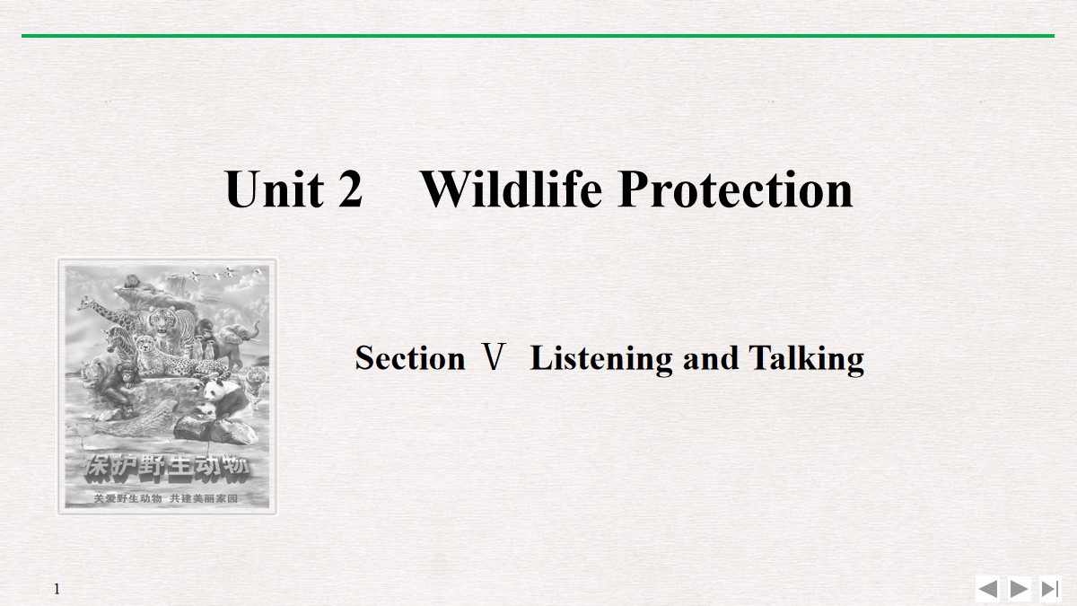 《Wildlife Protection》SectionⅤ PPT课件