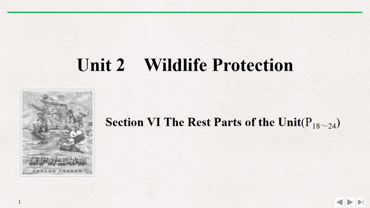 《Wildlife Protection》SectionⅥ PPT课件