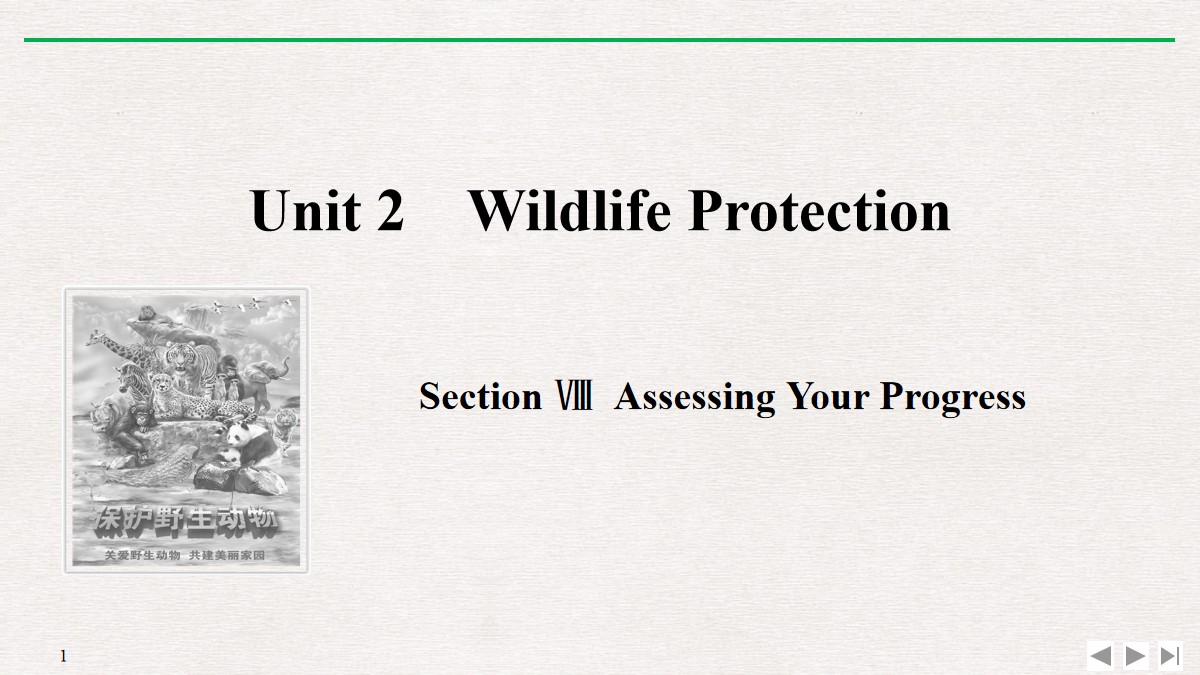 《Wildlife Protection》SectionⅧ PPT课件